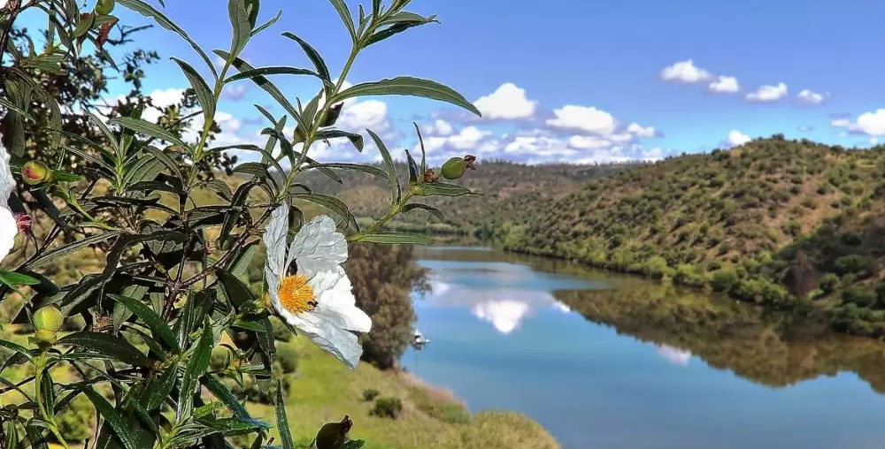 Delegação de Lisboa organiza Cruzeiro no Guadiana