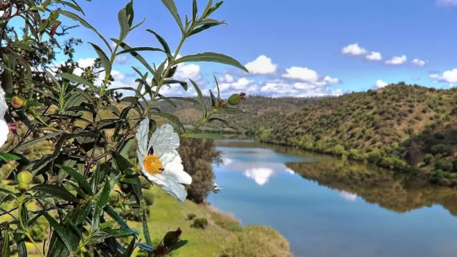 Delegação de Lisboa organiza Cruzeiro no Guadiana