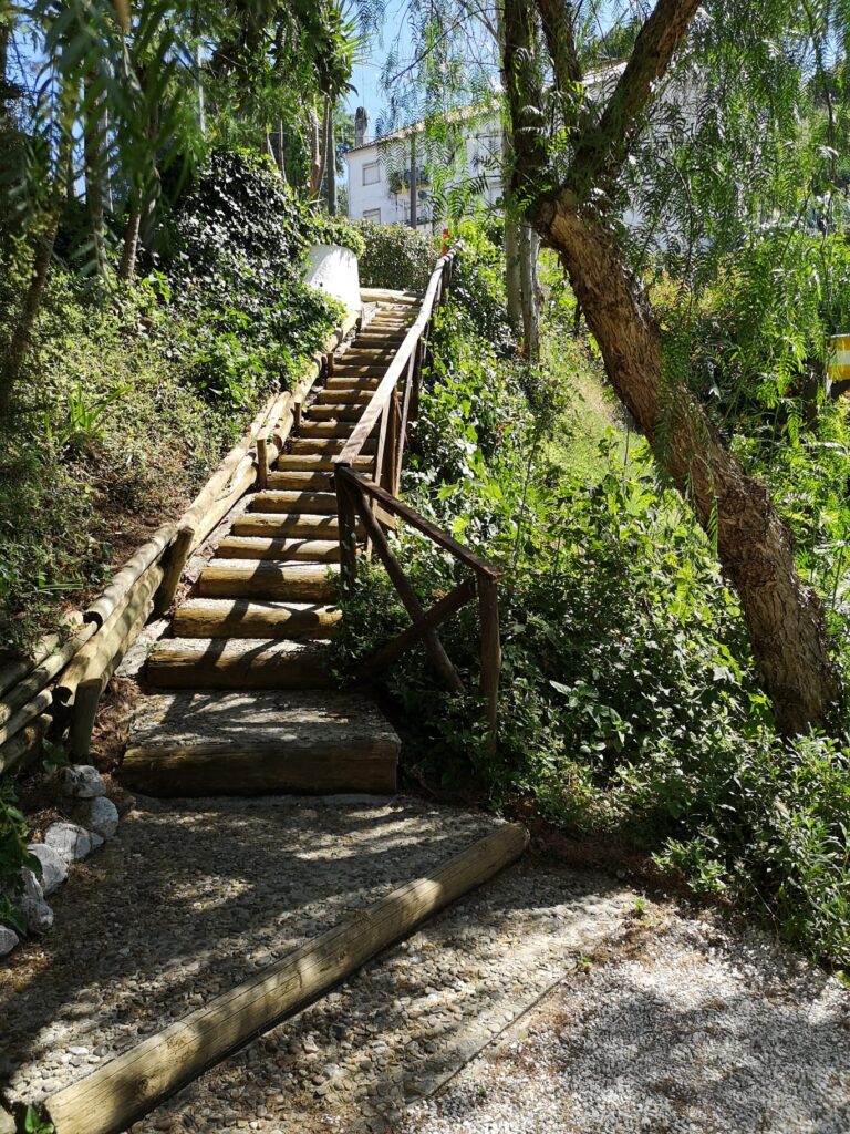 Comissão Executiva do Clube EDP reúne-se em Castelo de Bode