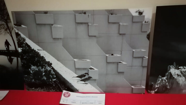 Fotografia Preto e Branco: "Sob Escrutínio" (pormenor), de Orlando Castro , 1º lugar