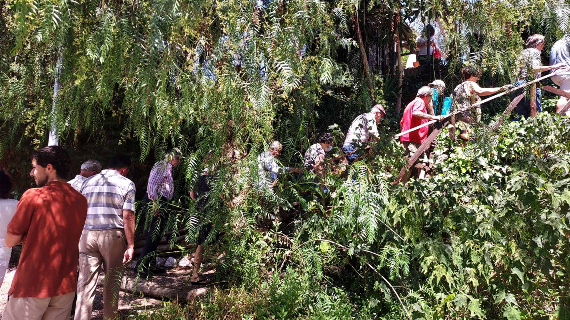 Parque Social Ribeira do Tomão