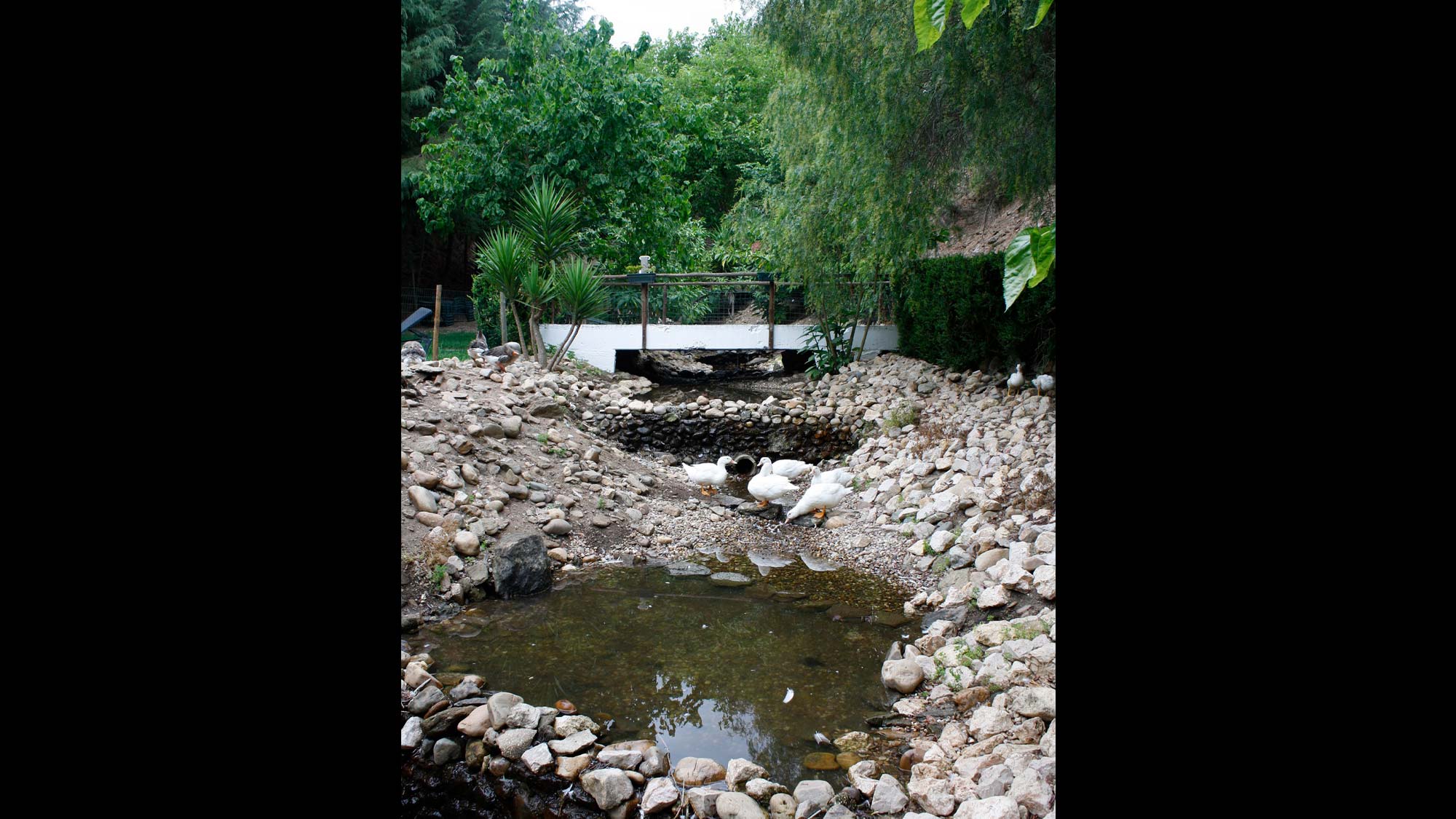 Parque Social Ribeira do Tomão