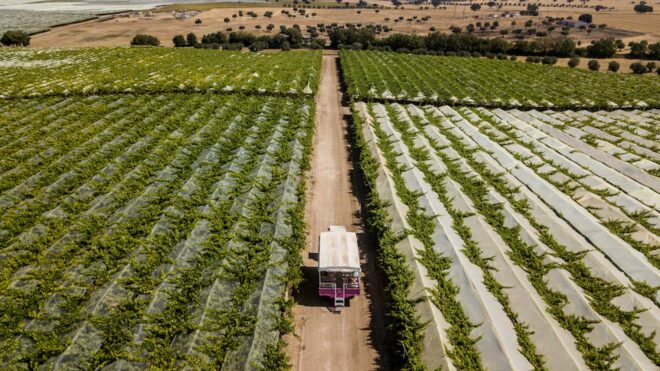 Passeio a Ferreira do Alentejo, pela mítica N2 - 29 de abril