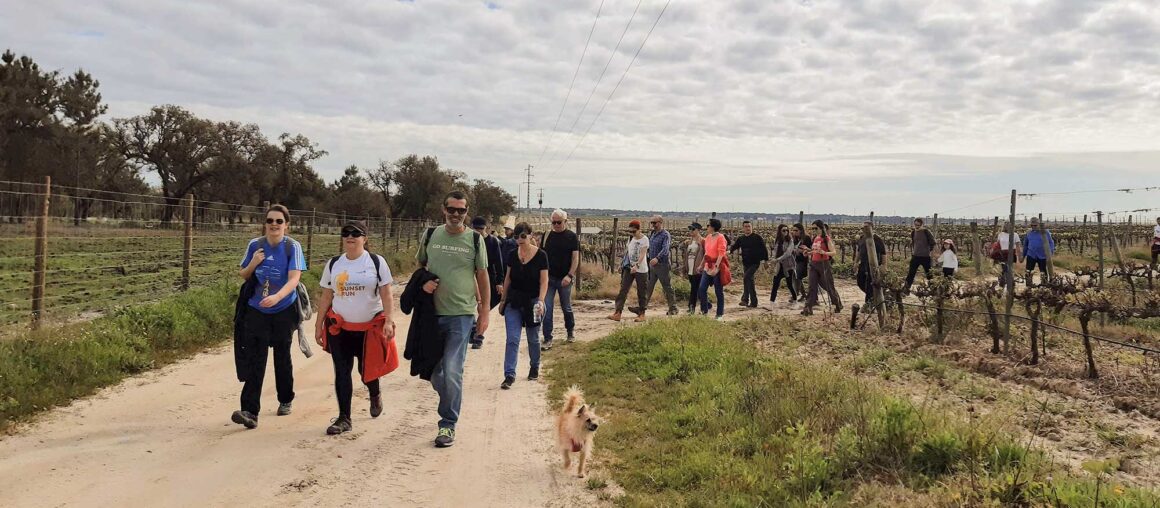 Percurso Pedestre, Jardins de Vinhas, Palmela - relato