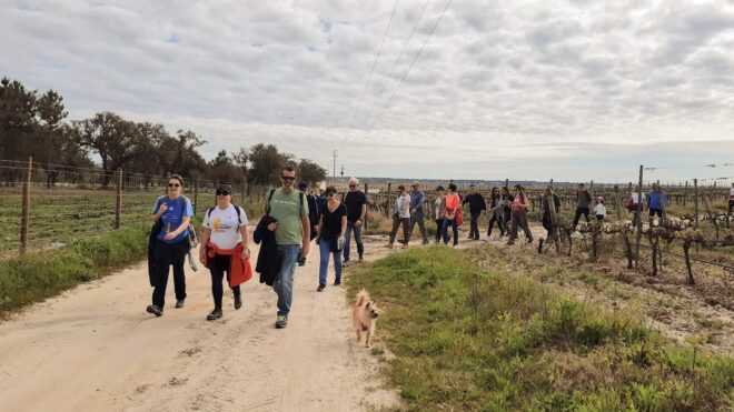 Percurso Pedestre, Jardins de Vinhas, Palmela - relato