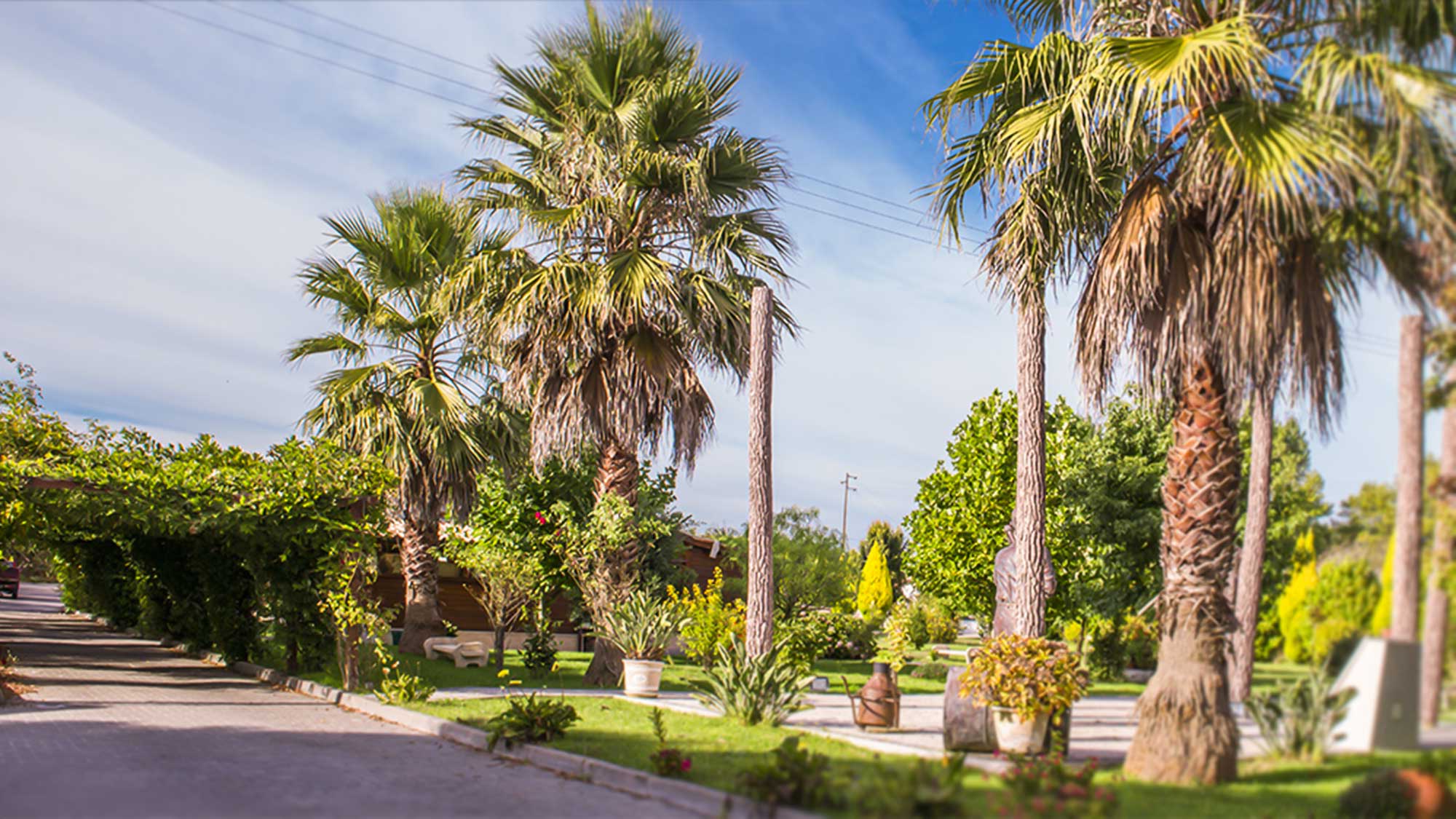 Quinta da Valinha (https://www.quintadavalinha.com)