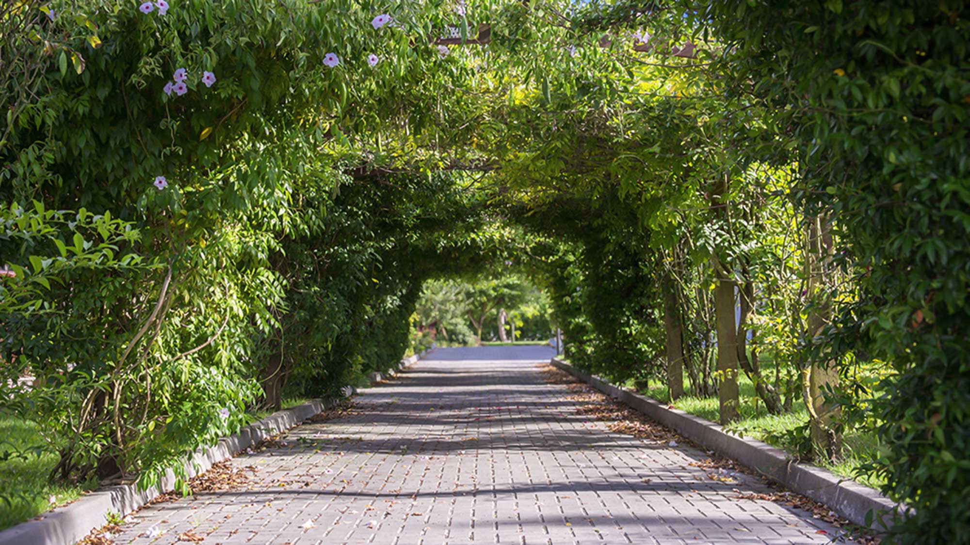 Quinta da Valinha (https://www.quintadavalinha.com)