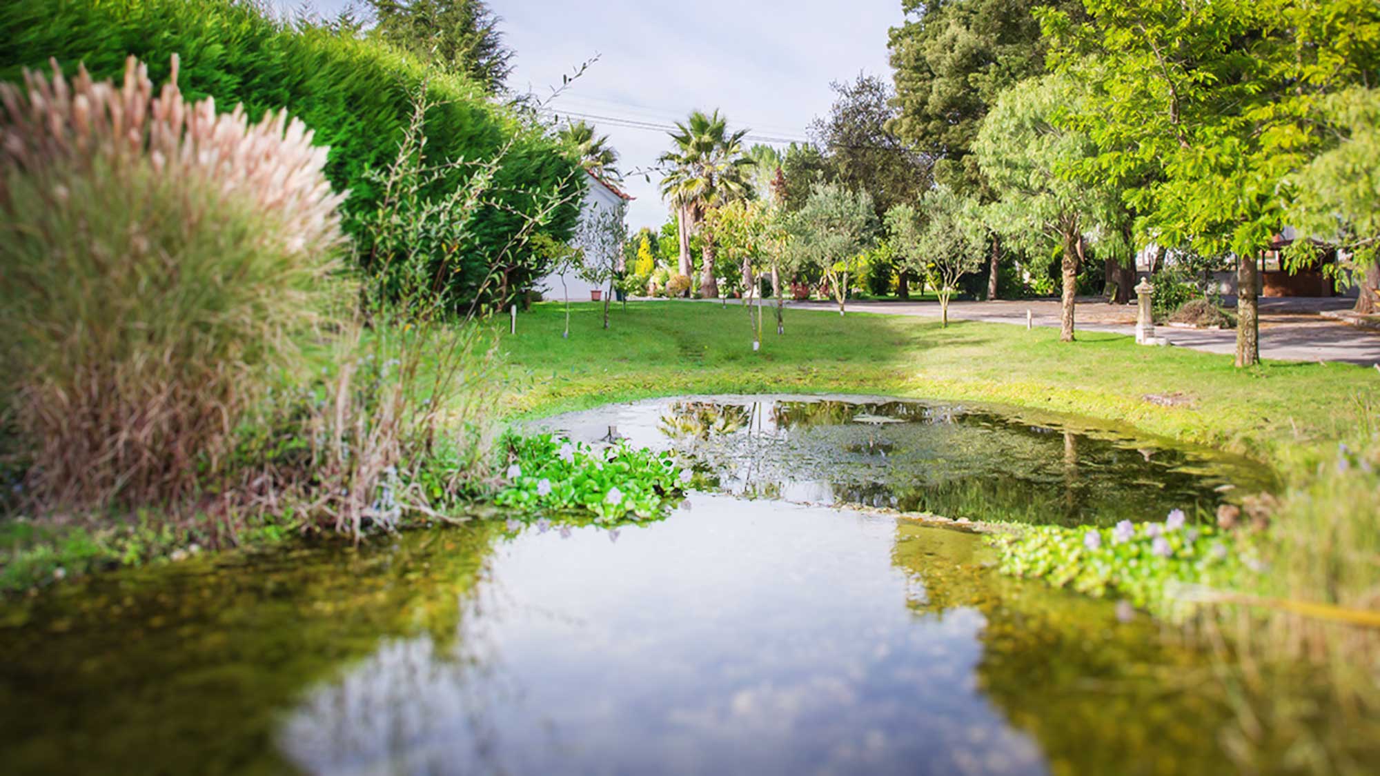 Quinta da Valinha (https://www.quintadavalinha.com)