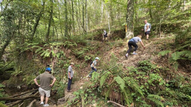 Competições Desportivas 2025-2027 arrancam com Trail e Caminhada
